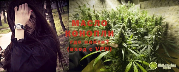прущие грибы Конаково